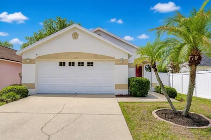 VALRICO FL Home