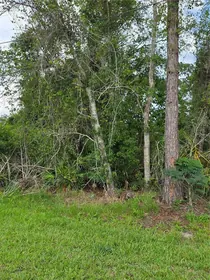 DELTONA FL Property