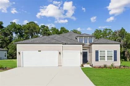 ALACHUA FL Home