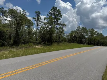 DUNNELLON FL Property