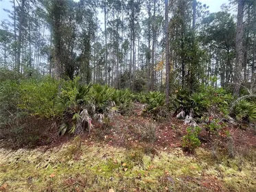 GEORGETOWN FL Property