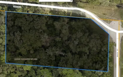 MOUNT PLYMOUTH FL Property