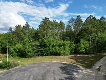 BELLEVIEW FL Property