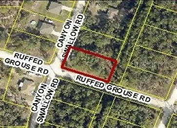 WEEKI WACHEE FL Property