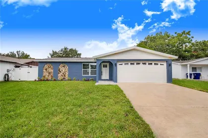 DUNEDIN FL Home