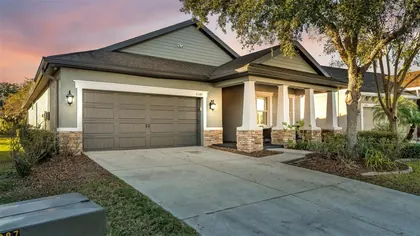 WESLEY CHAPEL FL Home