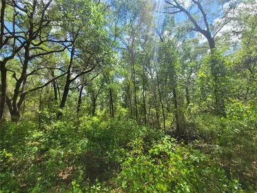 INVERNESS FL Property