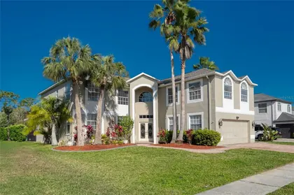 ODESSA FL Home
