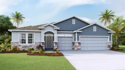 WESLEY CHAPEL FL Home