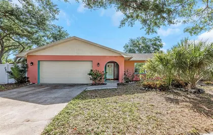 DUNEDIN FL Home