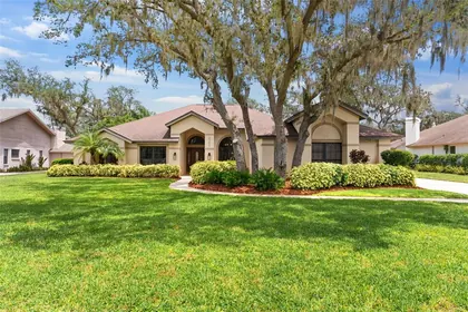 PLANT CITY FL Home