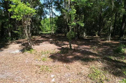 WILLISTON FL Property
