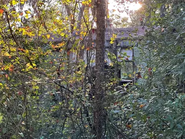 OLD TOWN FL Property