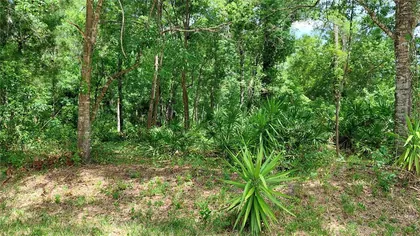 NEW PORT RICHEY FL Property