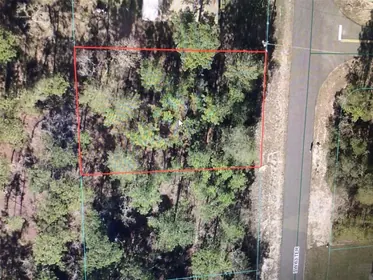OCALA FL Property