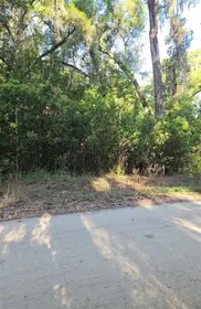 SUMMERFIELD FL Property