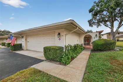 MOUNT DORA FL Home