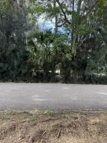 CLEARWATER FL Property