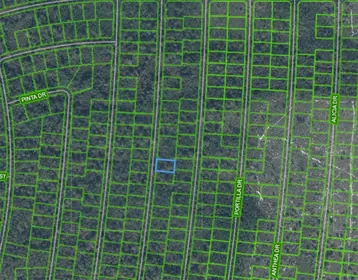 SEBRING FL Property
