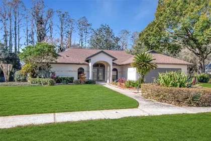 LUTZ FL Home