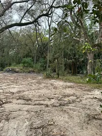 LONGWOOD FL Property