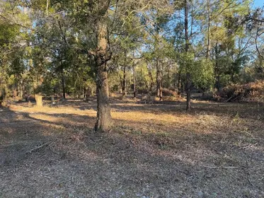 FORT WHITE FL Property