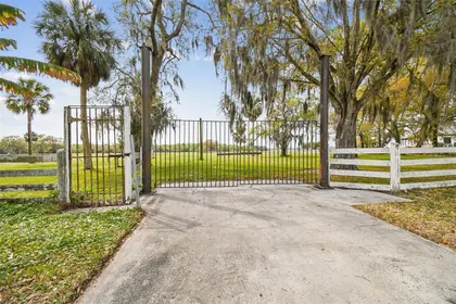 HOLIDAY FL Property