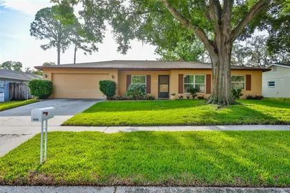 VALRICO FL Home