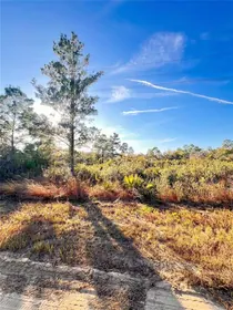 LAKE PLACID FL Property