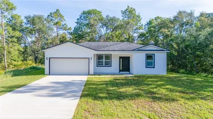 OCKLAWAHA FL Home