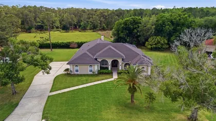 LUTZ FL Home
