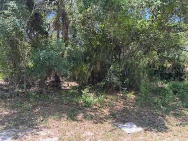 PORT CHARLOTTE FL Property