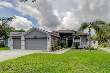 ODESSA FL Home