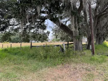 PLANT CITY FL Property