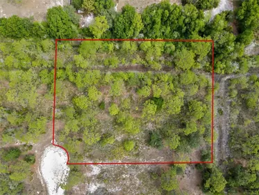 WEEKI WACHEE FL Property