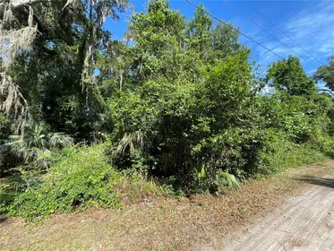 CITRA FL Property