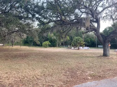 LAKE WALES FL Property