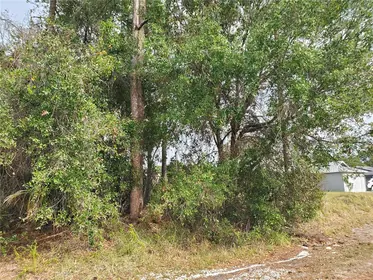PORT ST LUCIE FL Property