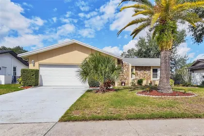 SAFETY HARBOR FL Home