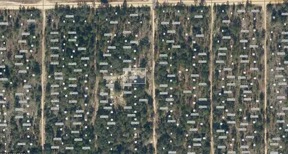 INTERLACHEN FL Property