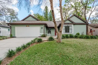 SAFETY HARBOR FL Home