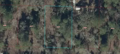 WILLISTON FL Property