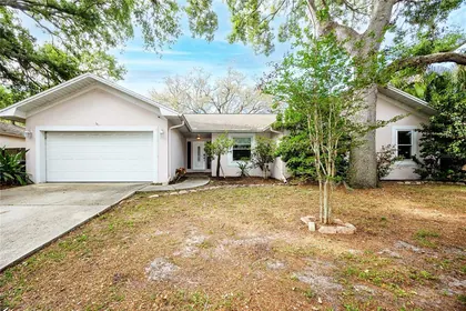 SAFETY HARBOR FL Home