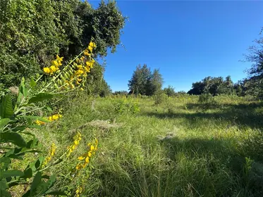 FLORAL CITY FL Property