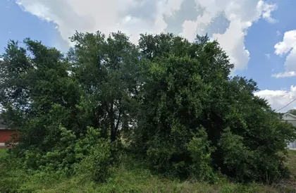 LEHIGH ACRES FL Property