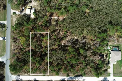 WEEKI WACHEE FL Property