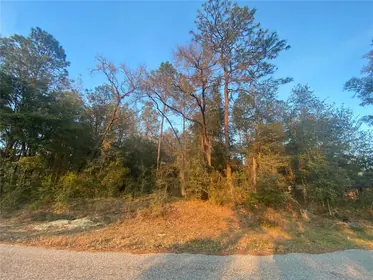 DUNNELLON FL Property