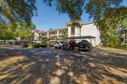 DUNEDIN FL Home