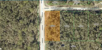 WEBSTER FL Property