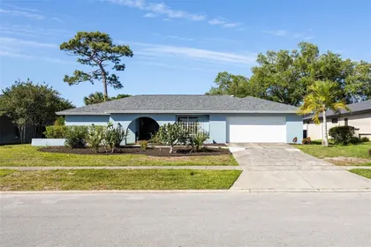 CLEARWATER FL Home